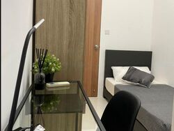The Luxurie (D19), Condominium #457880241